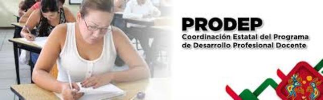 Impulsar el desarrollo profesional de los maestros.