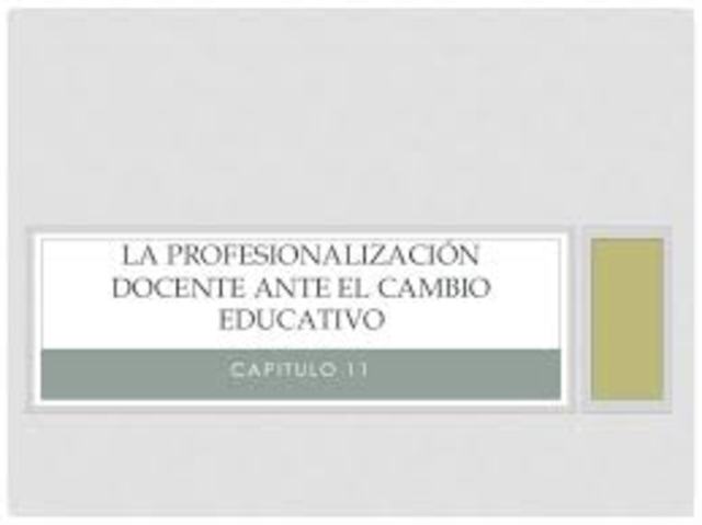 Profesionalización docente