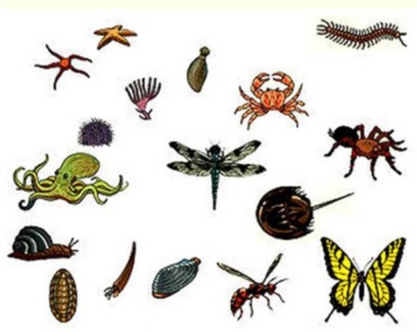 Final do projeto de Monitoria