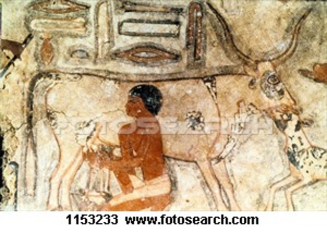 Egyptian animation BC