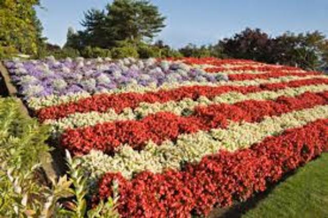 US presence in Vietnam grows,