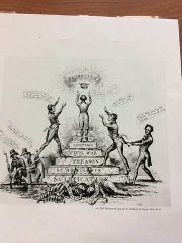 Nullifiaction crisis