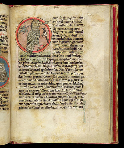 The Owl and the Nightingale