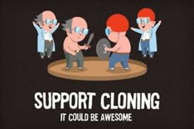 cloning law passed