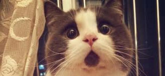 PROGRAMAS DE TECNOLOGIA