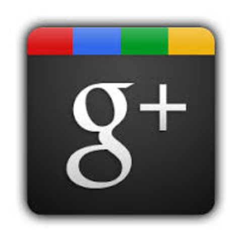 Google + was launched