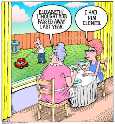 Human embryonic cells cloned