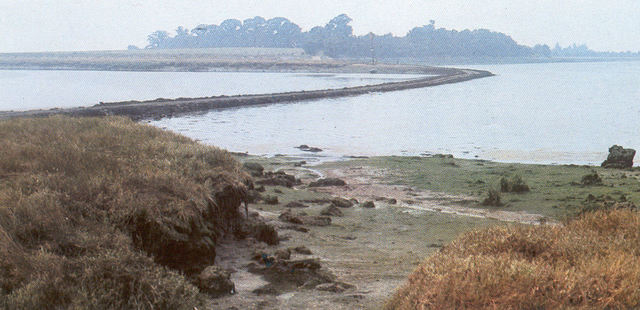 Battle of Maldon Poem