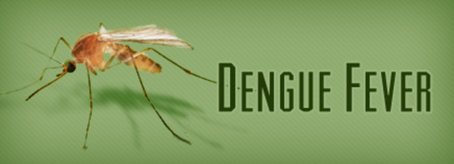 Vaccines for Dengue Fever