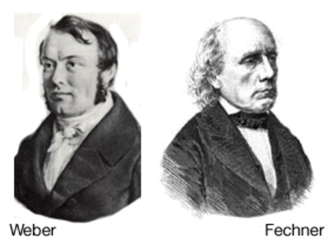Fechner-Weber