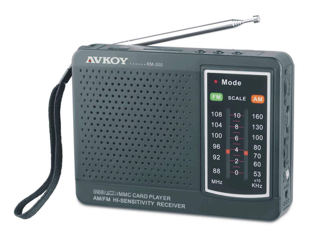 Fazlullah creates radio station in Swat Valley, Pakistan