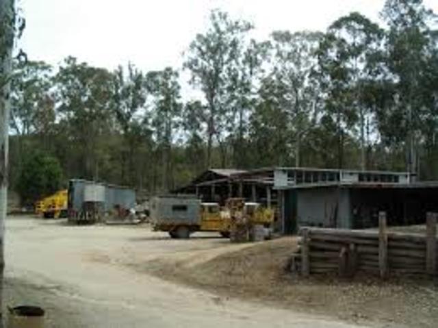 Iron bark established