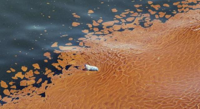 Coastal winds stall slick's landfall