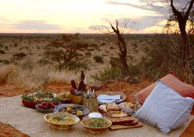 The Million Year Picnic