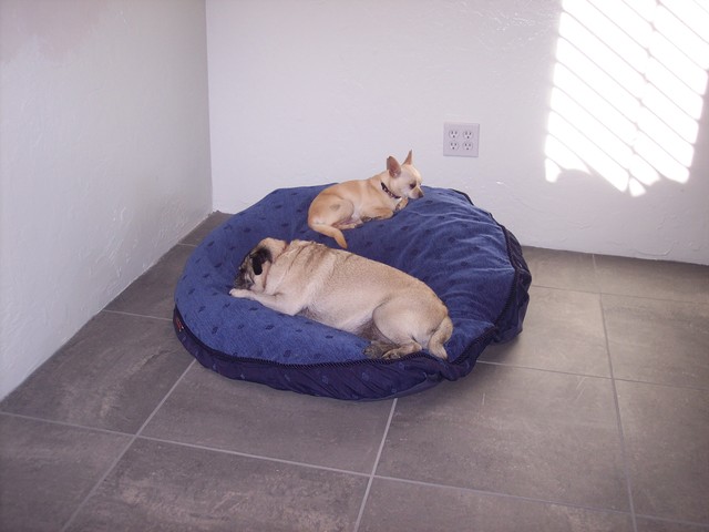 Moved to Tucson with Mom