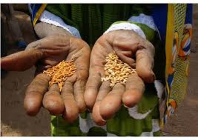 Plan Agrario de Emergencia