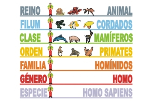 La Taxonomía de los seres vivos