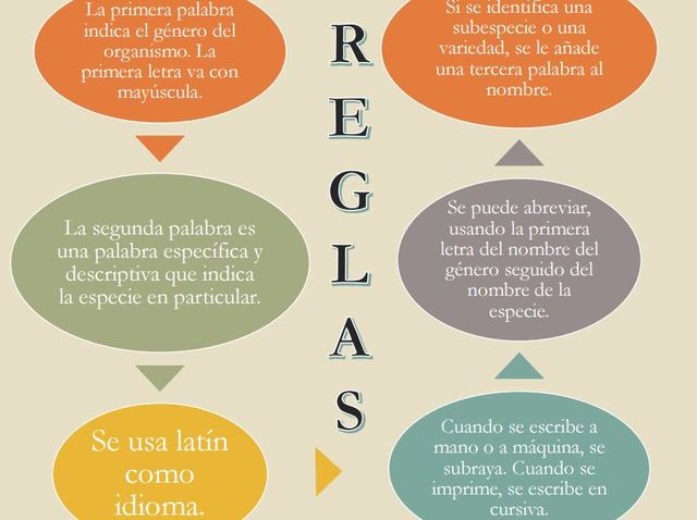 REGLAS GENERALES
