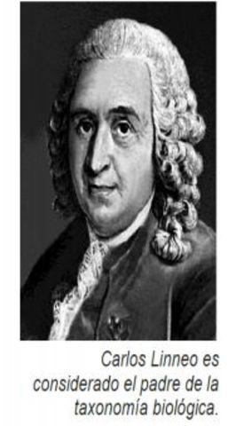 LA CLASIFICACIÓN: SUS ORÍGENES