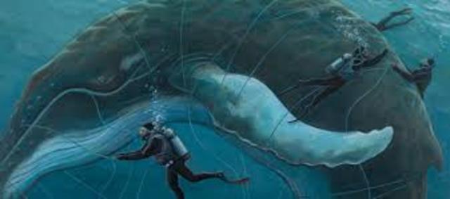 5th grade author visit - Jennifer O’Connell, nonfiction author