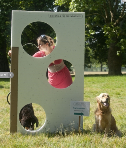 Watering hole in Green Park