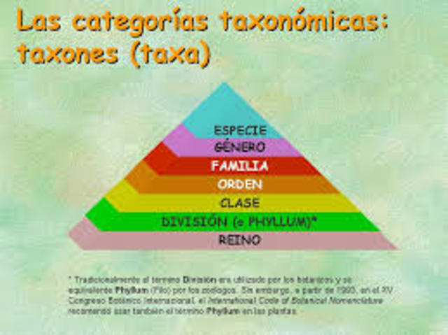 Categorias Taxonomicas
