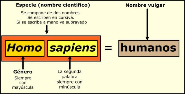 Los Nombres Cientificos