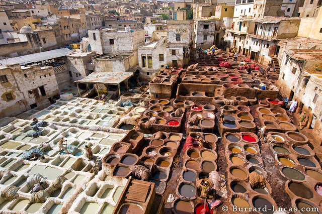 Day 1 Tanneries in Fes