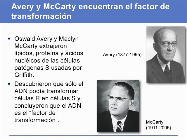 Oswald Aver y Maclyn McCarty
