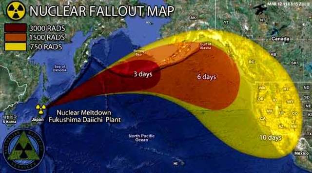 Fukushima Nuclear Disaster