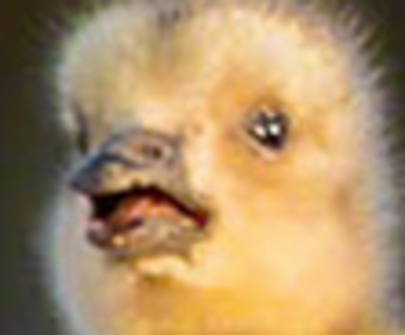 Met Anne, Amy and Jack