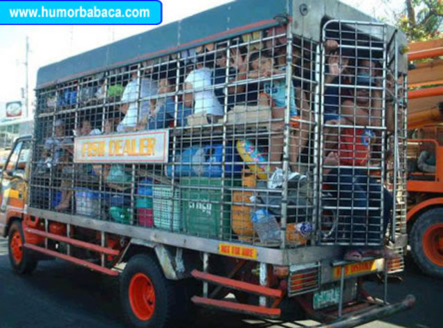 Transporte São Luiz Gonzaga à Cerro Largo