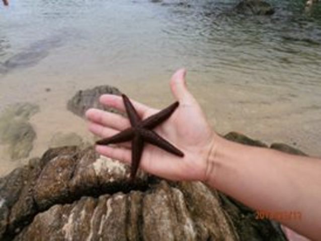 Curso de Biologia Marinha... Excursão Científica ao Litoral Catarinense!!