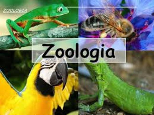 zoologia I