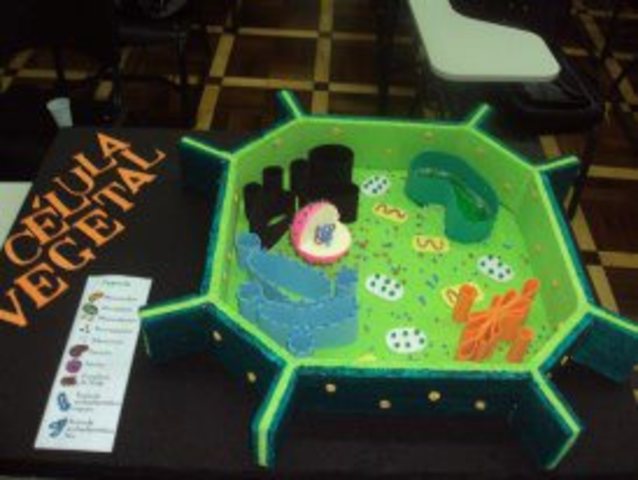 Célula Vejetal. Biologia 1!