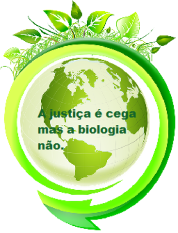 Direitos e cidadania.