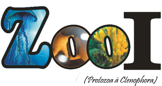Zoologia 1