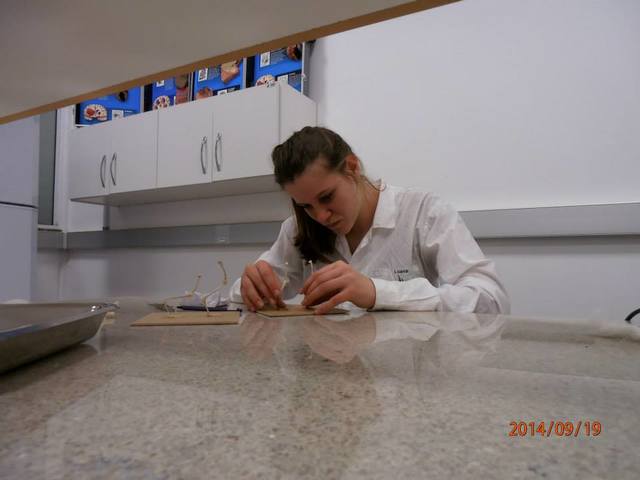 I Semana Acadêmica de Cências Biológicas. Minicurso 05: Técnicas de montagem de esqueletos para fins didáticos.