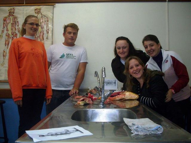 Aula Prática de Dissecação de Peixe