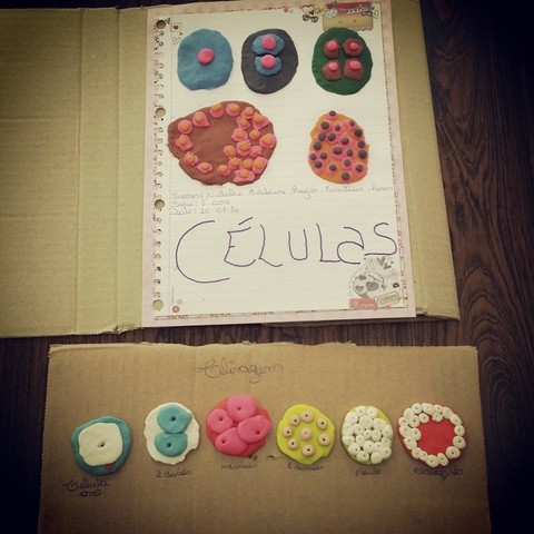 Processo de clivagem representado em massa de modelar pelos alunos do 8º ano