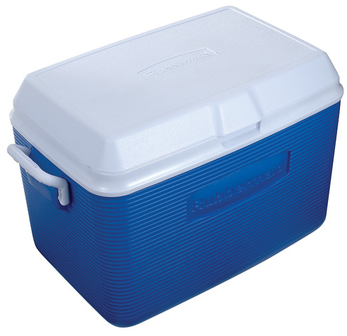 wife hides husbands head and hands in the chilly bin.  Chant now faces a murder trial.