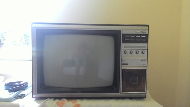 llega el televisor a color