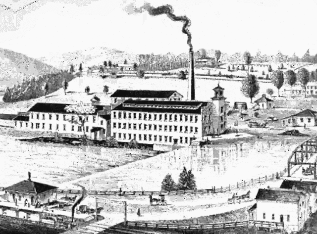 Primer epidemia viral