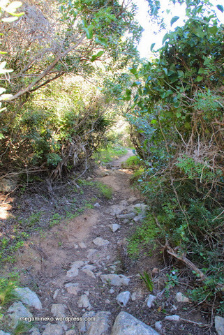 El sendero de la verdad