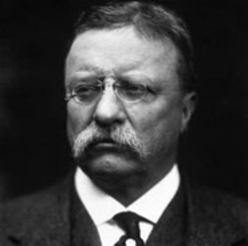 Theodore Roosevelt was elected