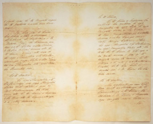 Treaty Of Waitangi Signed