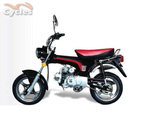 Mi querida compañera de ruta!