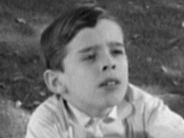 Charles Baker Harris (Dill)