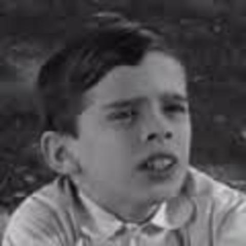 Hickory nuts, and new freind