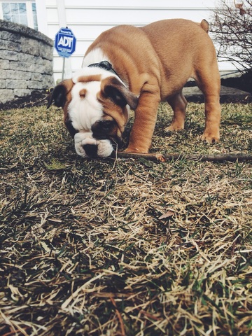 El 16 de marzo de 2015